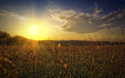 Nature Sunbeam Nature Nature Wallpaper 4K 1920x1200 Nature, Sunbeam, Hd, Desktop, Wallpaper, Background, Image, White, Ultrawide, Full HD