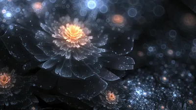 Radiant Abstract Wallpaper Nature Wallpaper 4K 1920x1080 An, Abstract, Blue, Fractal, Design, Showcases, Intricate, Flowers, Glowing, Centers, Creating, Visually, Gray, Brown, Ultrawide, Full HD