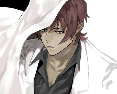 Crisp Sakunosuke Wallpaper Animals Wallpaper 4K 2000x1611 Sakunosuke, Oda, Anime, Bungou, Stray, Dogs, Hd, Desktop, White, Square, Full HD