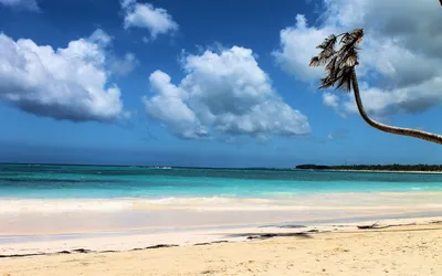 Nature Beach Nature Nature Wallpaper 4K 1920x1200 Nature, Beach, Hd, Desktop, Wallpaper, Background, Image, White, Ultrawide, Full HD