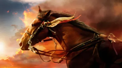 Bright Majestic Wallpaper Nature Wallpaper 4K 3840x2160 A, Stunning, Hd, Desktop, Wallpaper, Featuring, Majestic, Horse, Reins, Against, Dramatic, Sunset, Gray, Orange, Ultrawide, 4k
