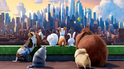 Vibrant Secret Life World Wallpaper 4K 1920x1080 A, Vibrant, Hd, Wallpaper, From, The, Secret, Life, Pets, Featuring, Group, Beloved, White, Ultrawide, Full HD
