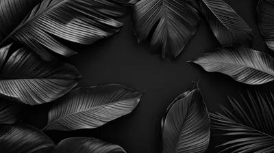 Bold Dark Wallpaper Black/Dark Wallpaper 4K 2912x1632 Hd, Desktop, Wallpaper, Featuring, A, Dark, Aesthetic, With, Elegant, Black, Leaves, Stylish, Gray, Ultrawide, QHD