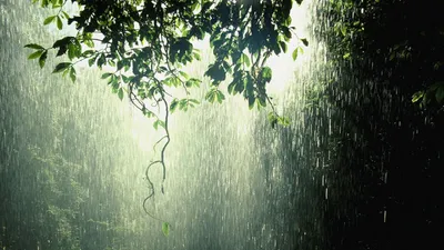 Serene Rain Sunlight Filtering Abstract Wallpaper 4K 1920x1080 Hd, Desktop, Wallpaper:, Featuring, A, Serene, Rain, Scene, Sunlight, Filtering, Through, Lush, Gray, White, Ultrawide, Full HD