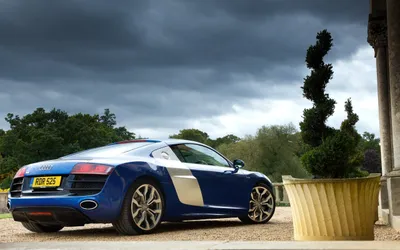 Blue Supercar Near Decorative Plant Cars Wallpaper 4K 2560x1600 A, Stunning, Blue, Audi, R8, Supercar, Parked, Near, Decorative, Plant, Set, Against, White, Gray, Brown, Ultrawide, QHD