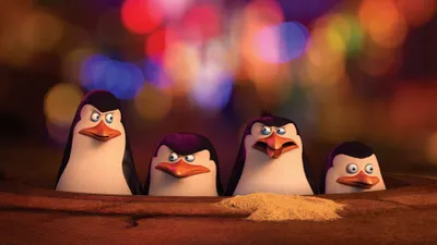 Bright Characters Wallpaper Abstract Wallpaper 4K 3840x2160 Hd, Wallpaper:, Featuring, Characters, From, The, Movie, Penguins, Madagascar, Four, Standing, Front, Orange, Pink, Brown, Ultrawide, 4k
