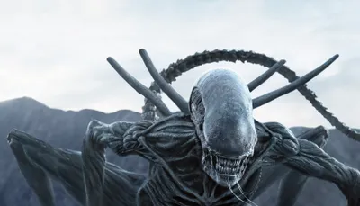 Misty Menacing Wallpaper Nature Wallpaper 4K 3776x2160 Hd, Desktop, Wallpaper, And, Background, Featuring, A, Menacing, Alien, Movie, Covenant, Against, White, Ultrawide, QHD