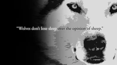 Grayscale Close Wolf Animals Wallpaper 4K 1920x1080 Hd, Desktop, Wallpaper:, Featuring, A, Grayscale, Close-up, Of, Wolf, Face, Quote, Wolves, Gray, White, Ultrawide, Full HD