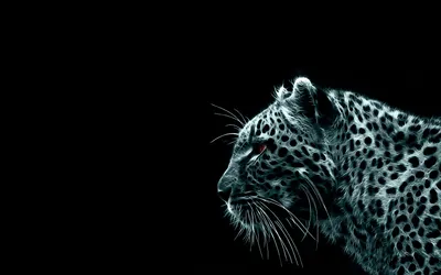 Detailed Profile Leopard Black Highlights Animals Wallpaper 4K 1920x1200 Hd, Desktop, Wallpaper:, Featuring, A, Detailed, Profile, Of, Leopard, Against, Black, Highlights, Brown, Gray, Ultrawide, Full HD