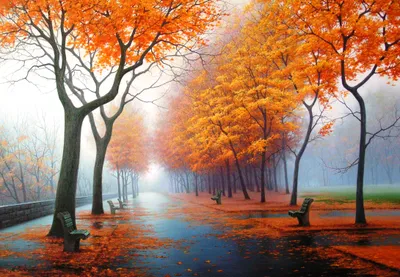 Vivid Foggy Wallpaper Nature Wallpaper 4K 2181x1508 Hd, Desktop, Wallpaper, Featuring, A, Foggy, Park, Scene, Vibrant, Autumn, Trees, Scattered, White, Landscape, Full HD