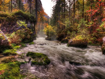 Sleek Vibrant Wallpaper Nature Wallpaper 4K 2048x1536 A, Vibrant, Hdr, Image, Of, Flowing, River, Serene, Forest, Adorned, Autumn, Foliage, White, Gray, Landscape, Full HD
