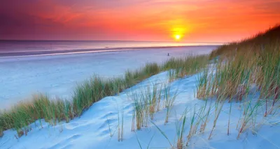 Dreamy Beach Wallpaper Nature Wallpaper 4K 2560x1375 Hd, Desktop, Wallpaper, Of, A, Beach, At, Sunset, Featuring, Ocean, Waves, Sandy, Pink, Gray, Ultrawide, QHD