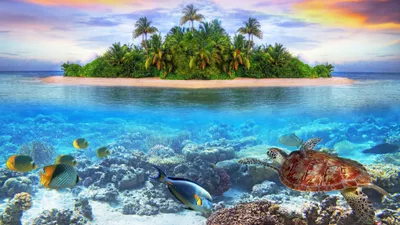 Vivid Serene Maldives Island Abstract Wallpaper 4K 3840x2160 A, Vivid, Hd, Wallpaper, Showing, Serene, Maldives, Island, Palm, Trees, Colorful, Reef, White, Ultrawide, 4k