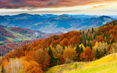 Vibrant Autumn Landscape Richly Colored Nature Wallpaper 4K 2560x1600 Hd, Wallpaper, Of, A, Vibrant, Autumn, Landscape, Featuring, Richly, Colored, Trees, Rolling, White, Ultrawide, QHD