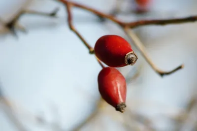 Golden General Wallpaper Abstract Wallpaper 4K 4912x3264 Wallpaper, General, 4912x3264, White, Ultrawide, 4k