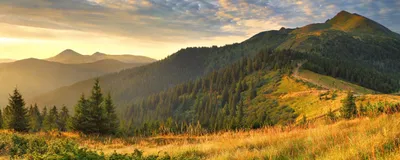 Vibrant Nature Wallpaper Nature Wallpaper 4K 2560x1024 Nature, Landscape, Hd, Desktop, Wallpaper:, Background, Image, Gray, White, Ultrawide, QHD