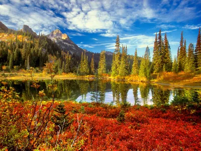 Serene Nature Landscape Nature Wallpaper 4K 1600x1200 Hd, Desktop, Wallpaper:, Of, A, Serene, Nature, Landscape, Featuring, Reflective, Lake, Tall, White, Brown, Red