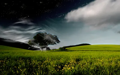 Vibrant Artistic Wallpaper Nature Wallpaper 4K 1920x1200 Hd, Desktop, Wallpaper, Featuring, An, Artistic, Nature, Scene, Solitary, Tree, Vibrant, Green, Gray, Ultrawide, Full HD