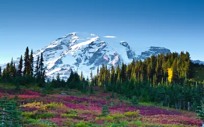 Misty Majestic Wallpaper Nature Wallpaper 4K 2560x1600 A, Stunning, Hd, Desktop, Wallpaper, Featuring, Majestic, Mountains, Crowned, Snow, Surrounded, Vibrant, Pink, Gray, Ultrawide, QHD