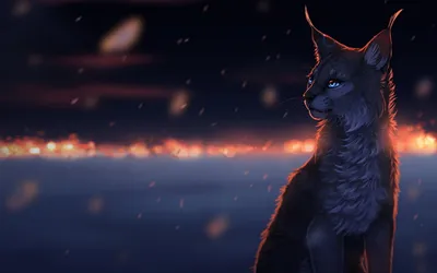 Lynx Serene Night Black/Dark Wallpaper 4K 1920x1200 Hd, Desktop, Wallpaper, Featuring, A, Lynx, In, Serene, Night, Setting, Glowing, Snowy, Gray, Brown, Ultrawide, Full HD