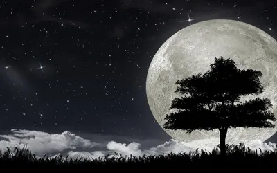 Bright Large Wallpaper Space Wallpaper 4K 1920x1200 Hd, Desktop, Wallpaper, Of, A, Large, Full, Moon, Illuminating, Starry, Night, Sky, Gray, Ultrawide, Full HD