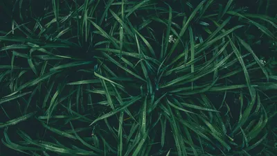 Bright General Wallpaper Abstract Wallpaper 4K 1422x800 Wallpaper, General, 1422x800, Black, Ultrawide