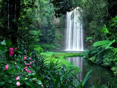 Serene Waterfall Cascades Wallpaper 4K, Nature category