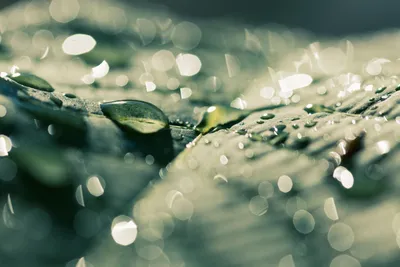 Bold Raindrops Wallpaper Abstract Wallpaper 4K 6000x4000 Gray