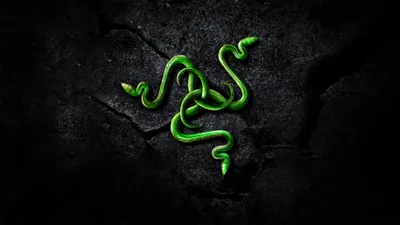 Vibrant Green Wallpaper Technology Wallpaper 4K 2560x1440 A, Striking, Hd, Desktop, Wallpaper, Featuring, Green, Serpent, Logo, Dark, Textured, Showcasing, Black, Red, Brown, Ultrawide, QHD