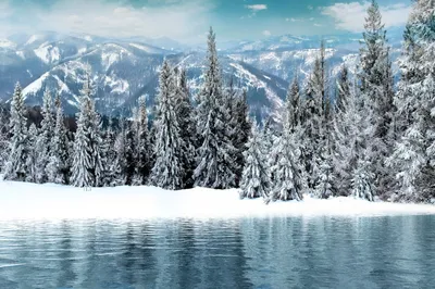 Vivid Serene Wallpaper Nature Wallpaper 4K 1920x1279 Hd, Desktop, Wallpaper, Featuring, A, Serene, Winter, Scene, Snow-covered, Forest, Lake, Distant, White, Ultrawide, Full HD