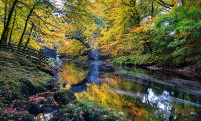 Calm River Reflecting Vibrant Nature Wallpaper 4K 2048x1239 Hd, Pc, Desktop, Wallpaper, Showing, A, Calm, River, Reflecting, Vibrant, Autumn, Trees, Brown, Orange, Ultrawide, Full HD