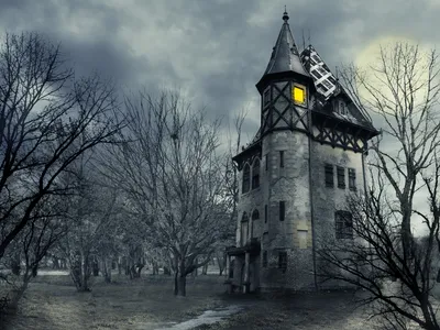 Serene Dark Wallpaper Nature Wallpaper 4K 2000x1500 A, Dark, Haunted, Gothic, Castle, Stands, Amidst, Leafless, Trees, Under, Stormy, Sky, Gray, Landscape, Full HD