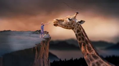 Vibrant Manipulated Wallpaper Nature Wallpaper 4K 1920x1080 Hd, Pc, Desktop, Wallpaper/background:, Manipulated, Photography, Of, Child, Cliff, Reaching, Out, Gray, Brown, Ultrawide, Full HD