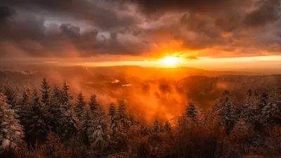 Sunrise Misty German Forest Dense Nature Wallpaper 4K 3840x2160 A, Stunning, Sunrise, Over, Misty, German, Forest, Dense, Trees, Silhouetted, Against, Vibrant, Red, Orange, Ultrawide, 4k