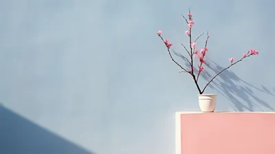 Radiant Minimalist Wallpaper Minimal Wallpaper 4K 2912x1632 A, Minimalist, Hd, Wallpaper, Featuring, Blooming, Branch, White, Pot, Against, Soft, Blue, Gray, Ultrawide, QHD