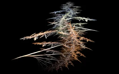 Calm Abstract Wallpaper Black/Dark Wallpaper 4K 2560x1600 Abstract, Black, Fractal, Design, With, Sharp, Intricate, Lines, Textures, Dark, Rendered, Desktop, Gray, Ultrawide, QHD