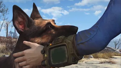 Close Dog Character Video Nature Wallpaper 4K 1920x1080 Hd, Pc, Desktop, Wallpaper:, Featuring, A, Close-up, Of, Dog, Character, Video, Game, Pink, Gray, Ultrawide, Full HD