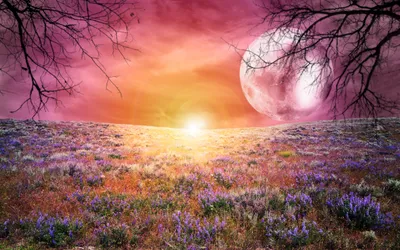 Dreamy World Unfolds Nature Wallpaper 4K 2880x1800 A, Dreamy, World, Unfolds, In, This, Hd, Desktop, Featuring, Vibrant, Sunset, Over, Purple, Orange, Brown, Ultrawide, QHD