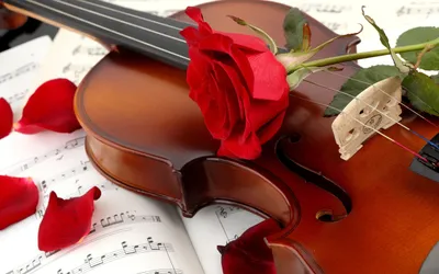 Serene Beautifully Wallpaper Abstract Wallpaper 4K 2560x1600 A, Beautifully, Arranged, Violin, Rests, On, Sheet, Music, Adorned, Red, Rose, Scattered, White, Ultrawide, QHD