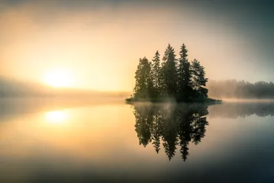 Dreamy Serene Wallpaper Nature Wallpaper 4K 5472x3648 Hd, Desktop, Wallpaper, Of, A, Serene, Lake, At, Sunrise, Enveloped, Fog, Trees, White, Landscape, 4k