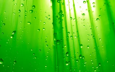 Epic Photography Wallpaper Abstract Wallpaper 4K 2560x1600 Hd, Photography, Of, Water, Droplets, On, A, Vibrant, Green, Surface, Designed, Refreshing, Red, White, Ultrawide, QHD