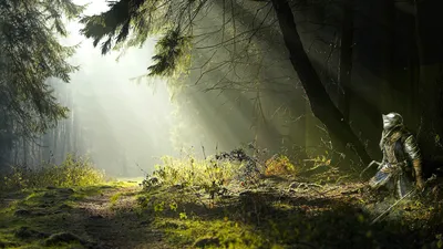 Vivid Fantasy Wallpaper Nature Wallpaper 4K 1920x1080 A, Fantasy-themed, Hd, Wallpaper, Featuring, Knight, Standing, Amidst, Sunlit, Forest, Beams, Light, White, Ultrawide, Full HD