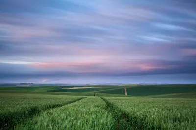 Golden General Wallpaper Abstract Wallpaper 4K 1500x1000 Wallpaper, General, 1500x1000, Gray, Pink, Landscape