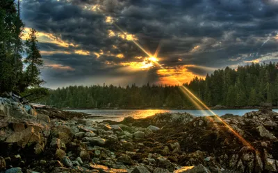 Serene Forest Landscape Nature Wallpaper 4K 2560x1600 A, Serene, Forest, Landscape, At, Sunset, Reflecting, Vibrant, Orange, Yellow, Hues, Over, Brown, Ultrawide, QHD
