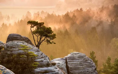 Serene Landscape Solitary Nature Wallpaper 4K 2560x1600 A, Serene, Landscape, Features, Solitary, Tree, Atop, Rocky, Formations, Surrounded, Misty, Forests, Purple, Orange, Gray, Ultrawide, QHD