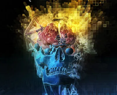 Dark Dark Wallpaper Technology Wallpaper 4K 1289x1042 Dark, Neon, Skull, With, Blue, Lower, Half, And, Fiery, Yellow, Brain-like, Top, Brown, Orange, Square
