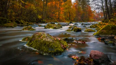 Vivid Serene Wallpaper Nature Wallpaper 4K 3840x2160 A, Serene, River, Flows, Over, Moss-covered, Rocks, Surrounded, Vibrant, Autumn, Foliage, Creating, Gray, Brown, Ultrawide, 4k