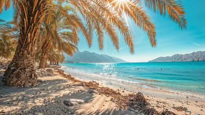 Crisp Serene Wallpaper Nature Wallpaper 4K 2912x1632 Hd, Desktop, Wallpaper, Showing, A, Serene, Beach, Scene, Clear, Blue, Sea, Sandy, Pink, Gray, Ultrawide, QHD