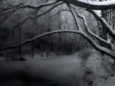 Serene Black White Winter Snow Nature Wallpaper 4K 1600x1200 A, Serene, Black, And, White, Winter, Scene, Featuring, Snow-covered, Branches, Capturing, Tranquility, Gray, Landscape