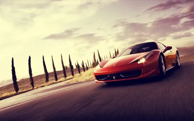 Bold Races Wallpaper Cars Wallpaper 4K 1920x1200 A, Striking, Ferrari, 458, Races, Down, Scenic, Road, Lined, Tall, Cypress, Trees, White, Ultrawide, Full HD